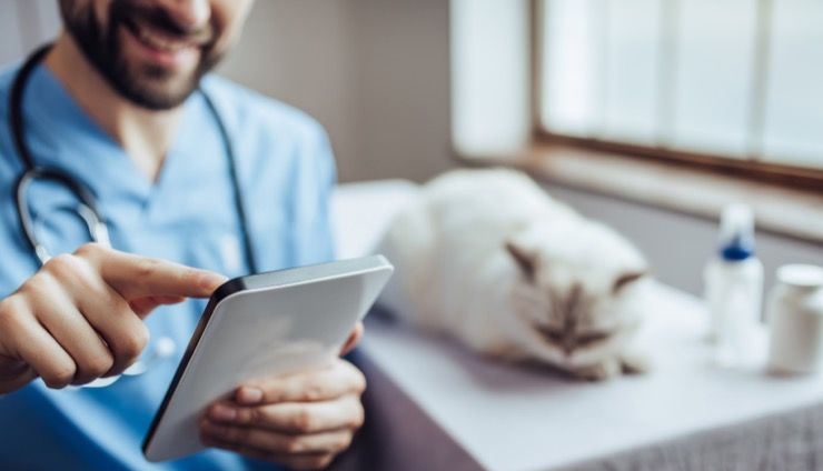 Digitail, un startup IT românesc pentru cabinete veterinare, primeşte finanţare în Suedia