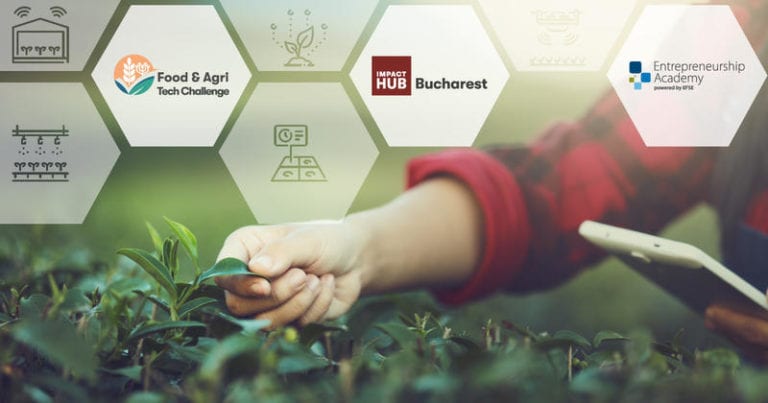 Program de pre-accelerare pentru antreprenorii cu proiecte IT în agricultură și industria alimentară