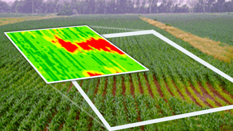 Bayer a încheiat un parteneriat cu CLAAS Telematic pentru a dezvolta soluții cloud-to-cloud în agricultură