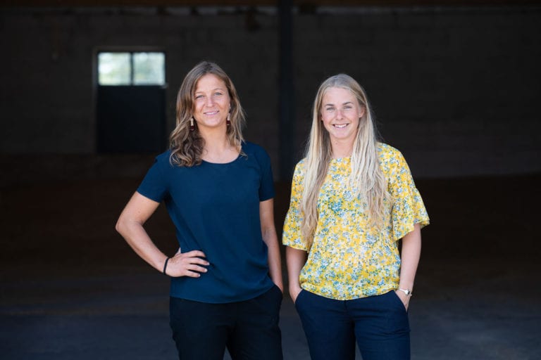 Commoditrader, platforma online de comerţ internaţional cu cereale şi materii prime agricole: Preţurile porumbului au înregistrat o scădere moderată, iar cele ale grâului au rămas pe o creştere uşoară