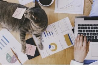 15 mai, Ziua Familiei, zi liberă pentru angajaţii Adobe România, care primesc şi 500 $ pentru work from home