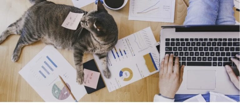 15 mai, Ziua Familiei, zi liberă pentru angajaţii Adobe România, care primesc şi 500 $ pentru work from home