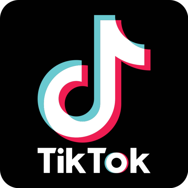 TikTok, blocată în India