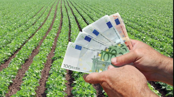 Holde Agri Invest își face firmă de software și-l atrage în acționariat pe directorul de marketing al Google și YouTube România