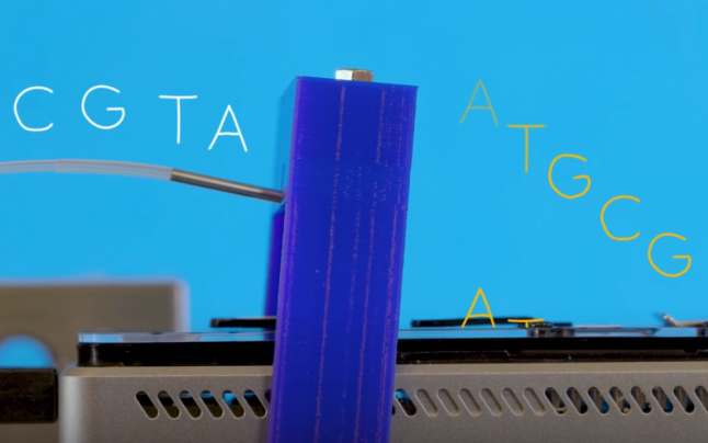 Ce este Porcupine, noua tehnologie care poate revoluţiona sistemul de vot