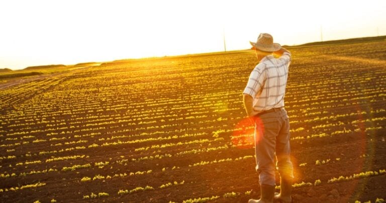 Agricultura viitorului: cum poți să îți faci ferma profitabilă prin tehnologie Agricultura viitorului: cum poți să îți faci ferma profitabilă prin tehnologie