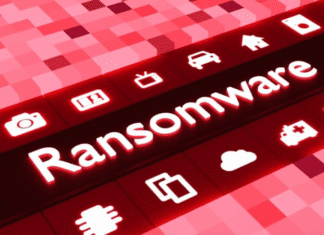 Guvernele şi băncile, preferatele atacurilor ransomware în 2020