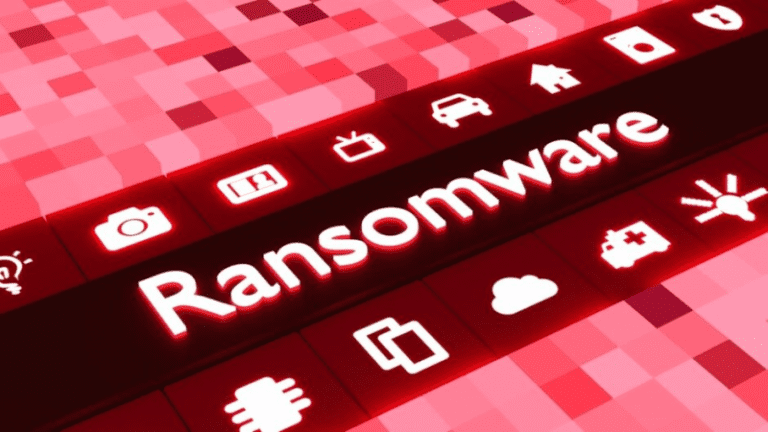 Guvernele şi băncile, preferatele atacurilor ransomware în 2020