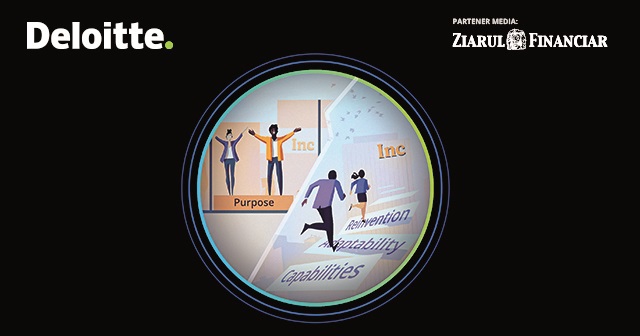 Raport Deloitte: Nicio firmă tech din România nu intră în top 50 creşteri ale cifrei de afaceri în perioada 2017-2020 pentru companii din regiune. Într-un alt top – dedicat celor mai promiţătoare proiecte tech noi, pentru start-up-uri create după 2018, România conduce însă clasamentul cu proiectul Druid creat de Liviu Drăgan, după o creştere a businessului de aproape 7.000 la sută