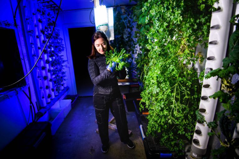 Vertiv devine partener RISE, cu soluții de inginerie precum reutilizarea căldurii sau surse alternative de energie pentru centrele de date