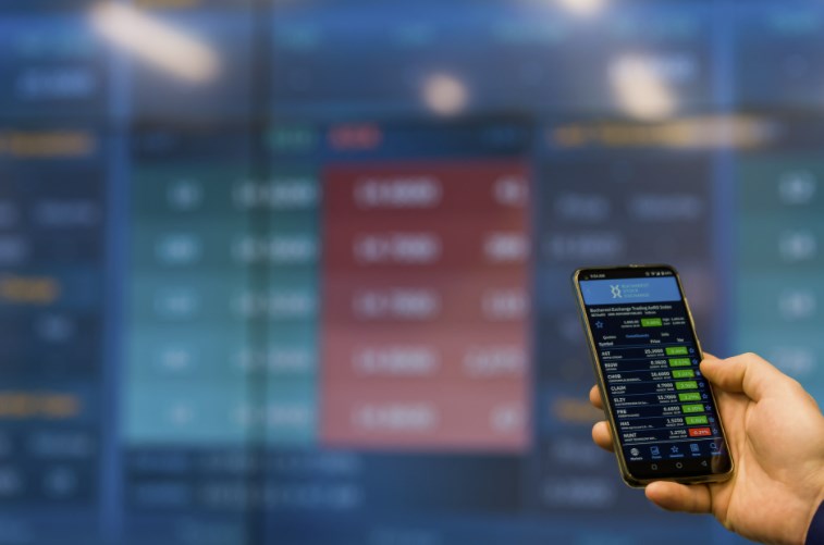 Compania care deţine brandul Tellur atrage 5,5 milioane de lei de la investitori: ABN Systems International pregăteşte listarea la o capitalizare anticipată de 99 mil. lei