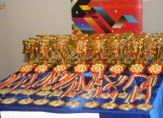 Premiile de Excelenţă pentru 25 de ani de Comunicaţii electronice româneşti, decernate de Ziua Internaţională a Telecomunicaţiilor şi a Societăţii Informaţionale: o ierarhie etică a valorii, un exerciţiu de valorizare a personalităţilor ICT într-un anotimp prelungit al devalorizării sociale, de masă