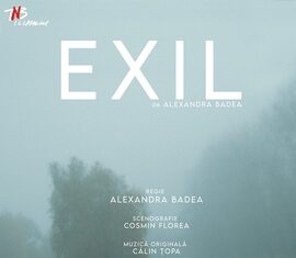 Premiera „Exil” – o viziune postmodernistă asupra înstrăinării de ţară, de individ, de istorie – teatru şi imagine video într-un mozaic complex la TNB