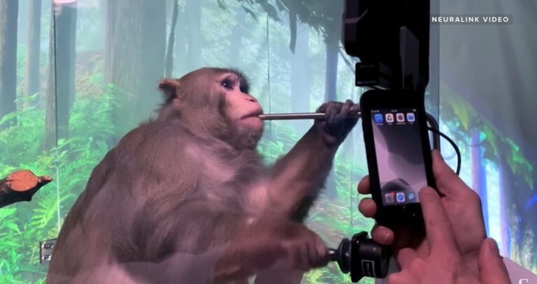 Elon Musk fixase “de Halloween” evenimentul “show & tell” pentru Neuralink, startup-ul care va lega creierul de computer, dar recent l-a amânat surprinzător  Citește mai mult la: https://www.profit.ro/povesti-cu-profit/it-c/elon-musk-fixase-de-halloween-evenimentul-show-tell-pentru-neuralink-startup-ul-care-va-lega-creierul-de-computer-dar-recent-l-a-amanat-surprinzator-20903411  Informaţiile publicate de Profit.ro pot fi preluate doar în limita a 500 de caractere şi cu citarea în lead a sursei cu link activ. Orice abatere de la această regulă constituie o încălcare a Legii 8/1996 privind dreptul de autor.