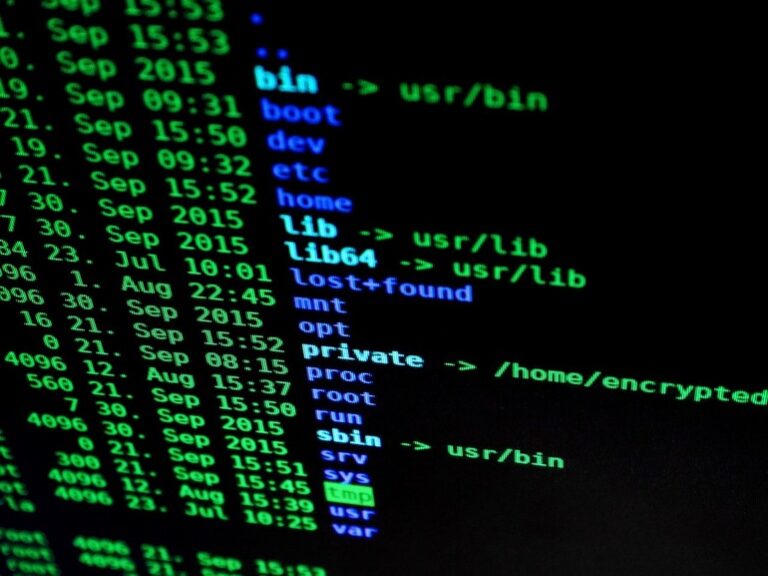 Elon Musk angajează un hacker celebru
