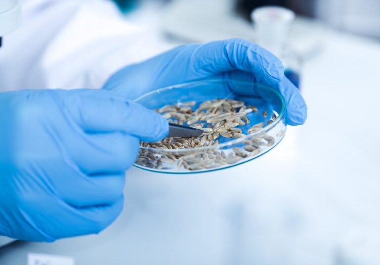 INS: În România, în anul 2021, s-au cheltuit 5,616 miliarde lei pentru activitatea de cercetare-dezvoltare, adică 0,48% din PIB