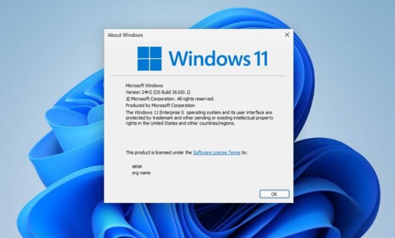 Cineva a creat Windows 11 ‘Government Edition’, o versiune de Windows fără monitorizare inclusă