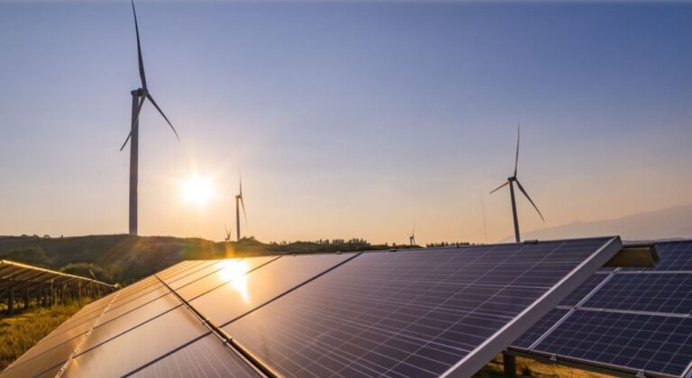 Grupul de inginerie şi tehnologie Simtel raportează venituri operaţionale de 360,2 milioane de lei în 2024, în creştere cu 20% faţă de 2023