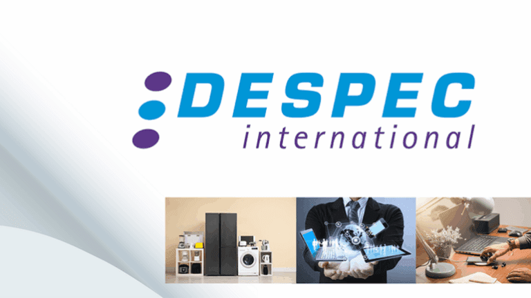 Despec, controlat de Dan Ostahie, șeful Altex, vrea să cumpere un distribuitor IT&C și un jucător specializat în soluții IoT