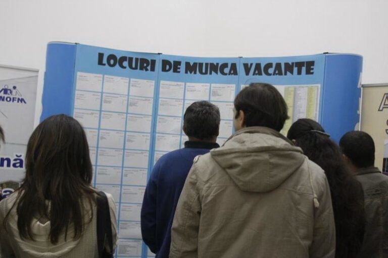 DOCUMENT Power Net Consulting și Arobs System vor realiza pentru ANOFM un sistem IT care va asigura accesul online la serviciile publice de ocupare