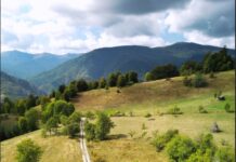 Peste 380 de angajați Orange Romania, organizați în 78 de echipe, au parcurs într-o singură zi întreaga Via Transilvanica