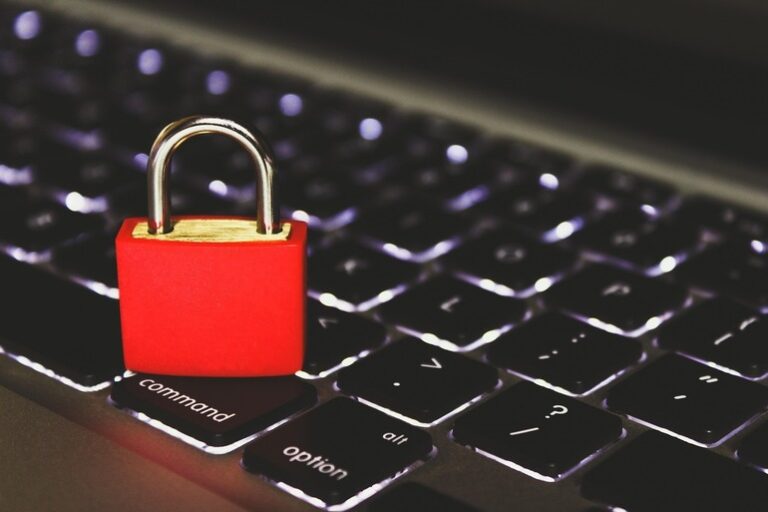 Accesarea site-urilor cu conținut sexual explicit doar cu identificare exactă a utilizatorilor – respinsă de senatori