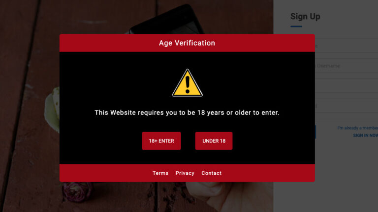 Accesarea rețelelor sociale și chatboți AI, interzisă până la vârsta de 16 ani