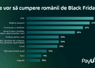 Black Friday 2025: Cele mai populare categorii de produse sunt IT&C (50%), iar ca metodă de plată, plățile digitale sunt principala opțiune