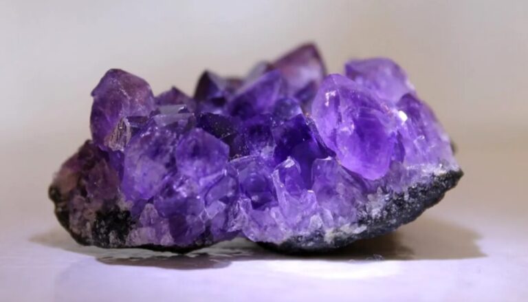 O ferigă comună poate metaboliza minerale rare direct din sol, de tipul celor necesare la fabricarea de acumulatori și electronice