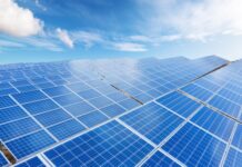 Bursă. Acţiunile Simtel scad cu 15% la debutul de joi după publicarea rezultatelor pe 2025